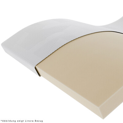 Wegerich Visco Topper 90x200 cm - 5 cm - abnehmbarer Bezug SANcare - Memory-Effekt