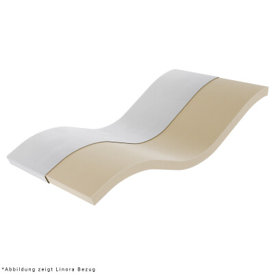 Wegerich Visco Topper 90x200 cm - 7 cm - H3 - abnehmbarer...