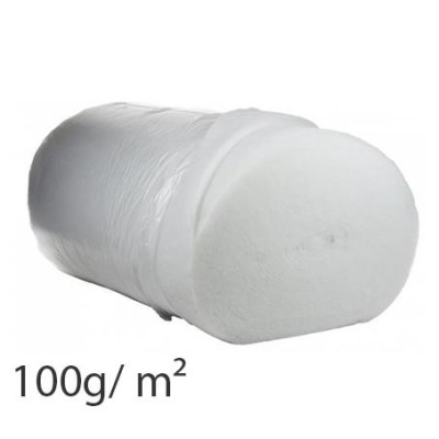 100g