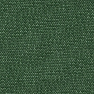 Venedig: racing green