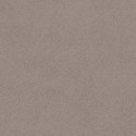 steinbeige
