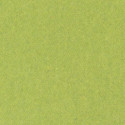 apfelgrün 0078
