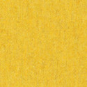 signalgelb 0081