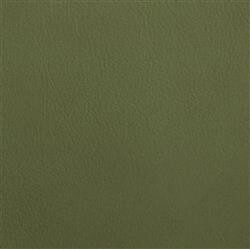 Kunstleder: maigrün
