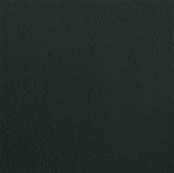 Kunstleder: moosgrün